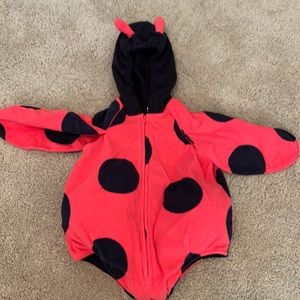 Ladybug Costume